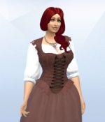 Sims-hobby