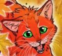 Kats_Meow