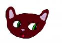 ♥Catlove