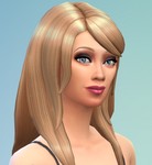 BlackCat_Sim