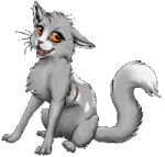 кошатко-лошатко