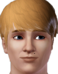 CreatorSims