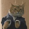 CatGeneral