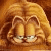 mrbitscareg
