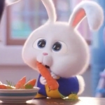 vitaminbobby